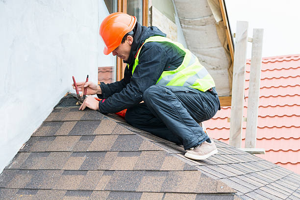 Best Roof Gutter Cleaning  in Bazon, CA